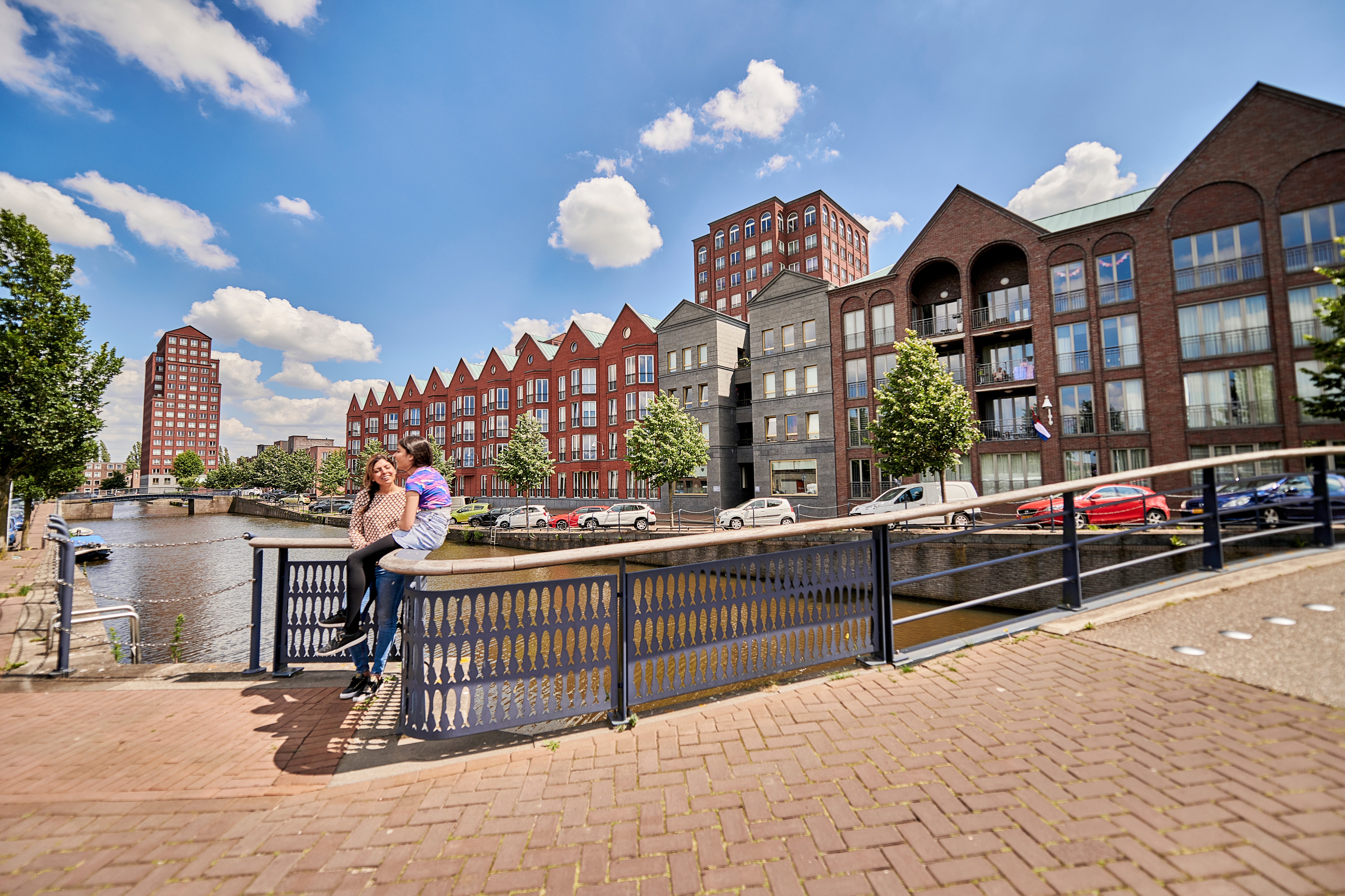 Veelgestelde vragen over het lidmaatschap Vereniging Eigen Huis